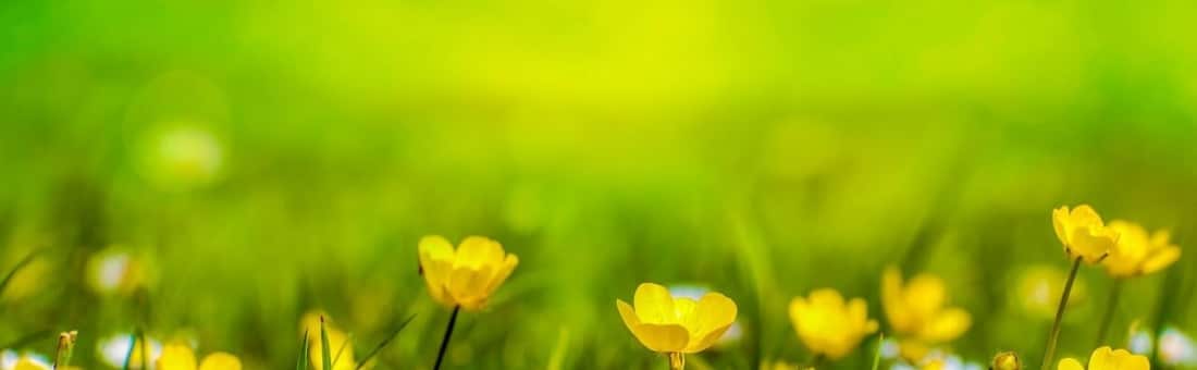 Happiness Report, May 2013: How to keep ’em satisfied