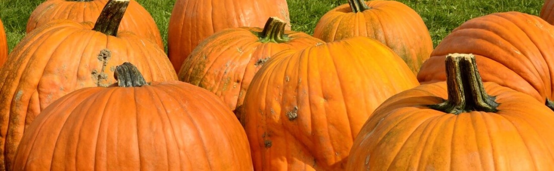 October Happiness Report