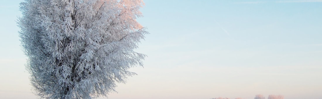 Magoosh Student Happiness Report — January 2014