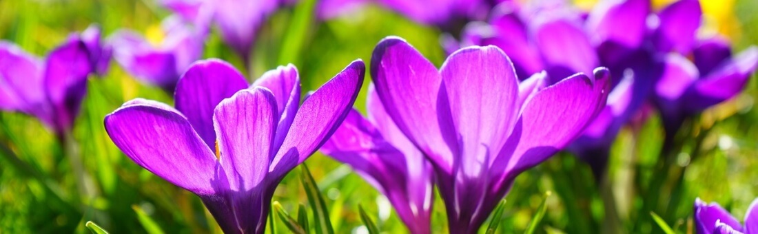 Magoosh Student Happiness Report — April 2014