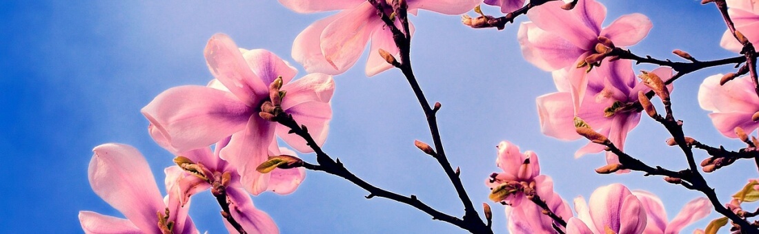 Magoosh Student Happiness Report — May 2014