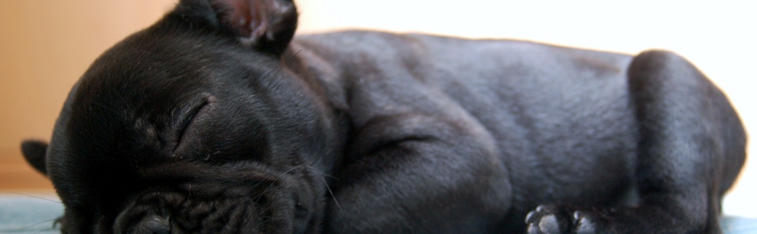 The Importance of Sleep to College Students